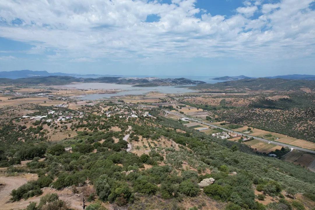 MİLAS DÖRTTEPE'DE SATILIK DENİZ MANZARALI ZEYTİNLİK